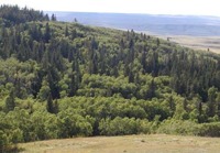 Photo of the The Alberta-Saskatchewan Cypress Hills