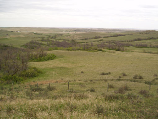 Figure 1: Rangeland near Wood Mountain