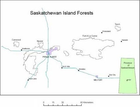 SK Island Forests